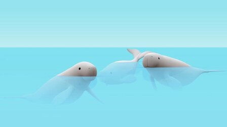 Dugong indický