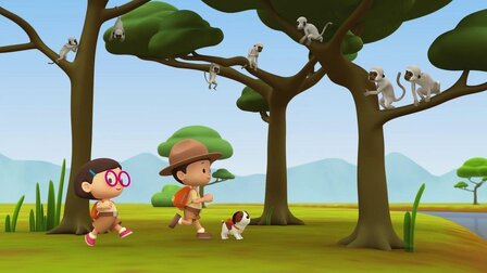 Kočkodan červenozelený