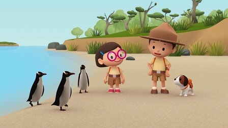 Tučňák žlutooký