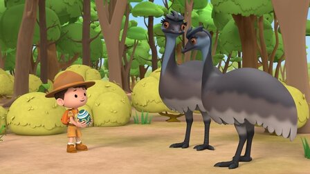 Emu hnědý