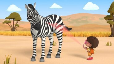 Zebra stepní