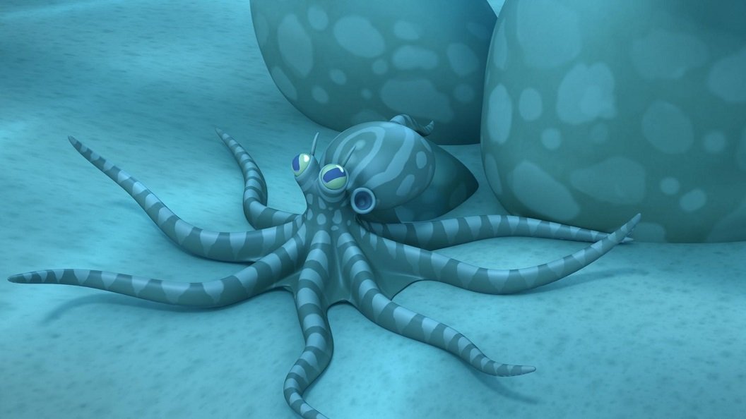 Chobotnice maskovaná