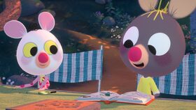 23/52 Tajemná semínka