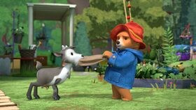 19/52 Paddington recykluje