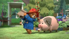 20/52 Paddington otvírá městskou farmu