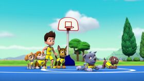 Tlapky zachraňují Ace / Tlapky zachraňují svatbu