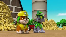 Tlapky zachraňují talentovou soutěž / Tlapky zachraňují kukuřici