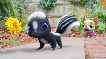Setkání se skunkem