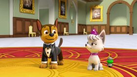 Tlapková mise: Výprava za korunou