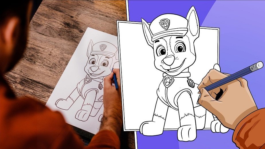 15/40 Tlapková patrola