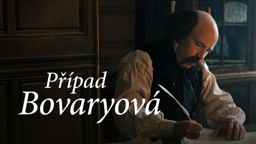 Případ Bovaryová