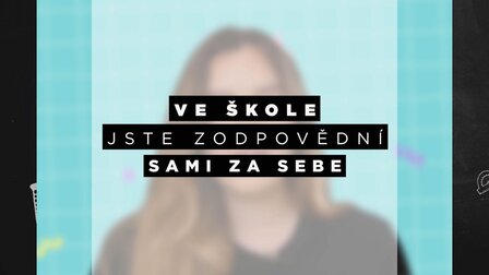 O kolektivní vině