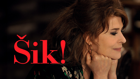 Šik!