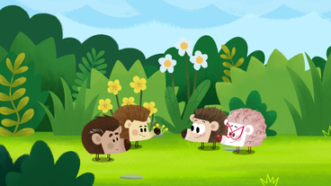 25/26 Hurá za náčelníkem!