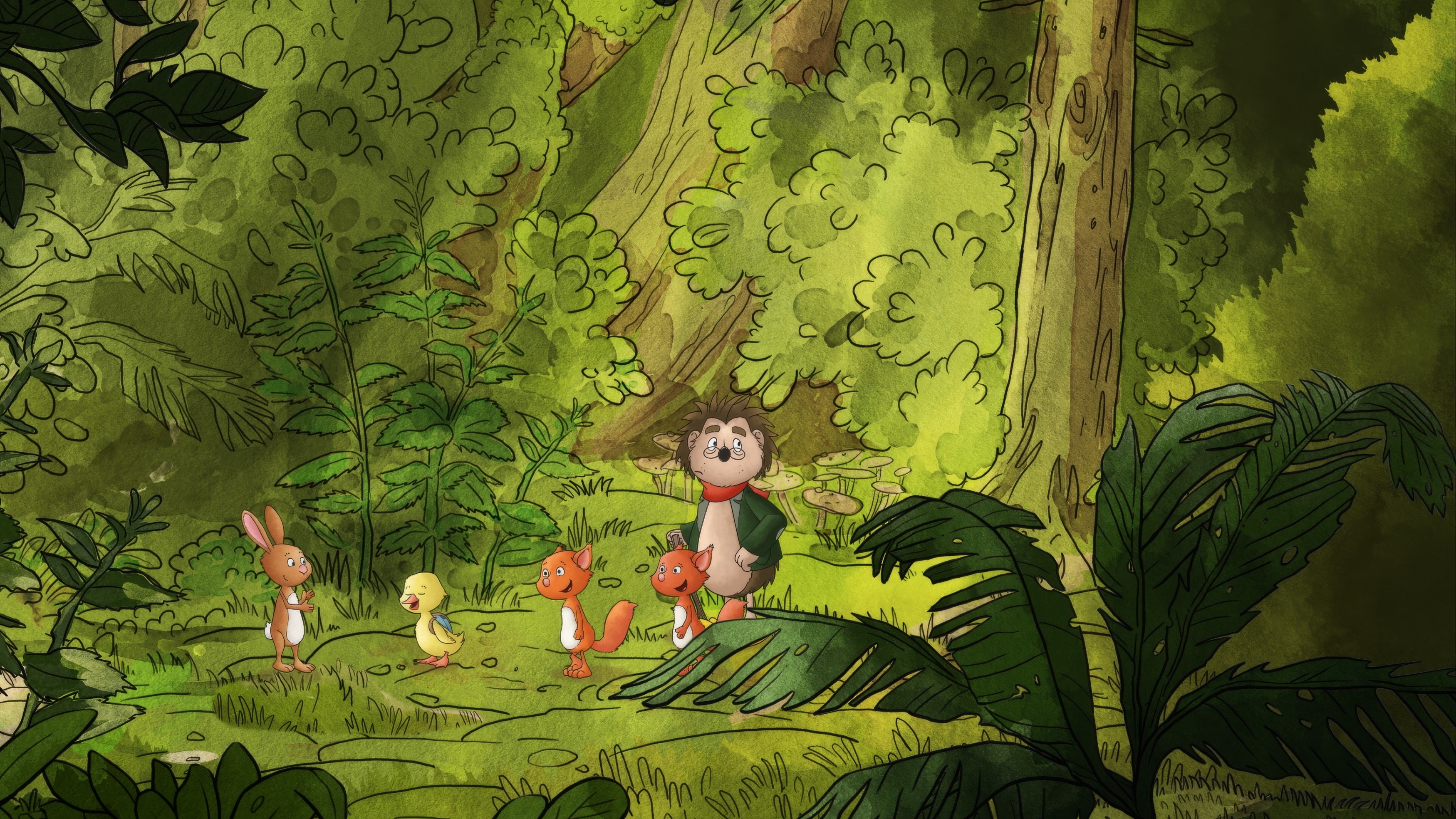 1/26 Vzhůru do lesa