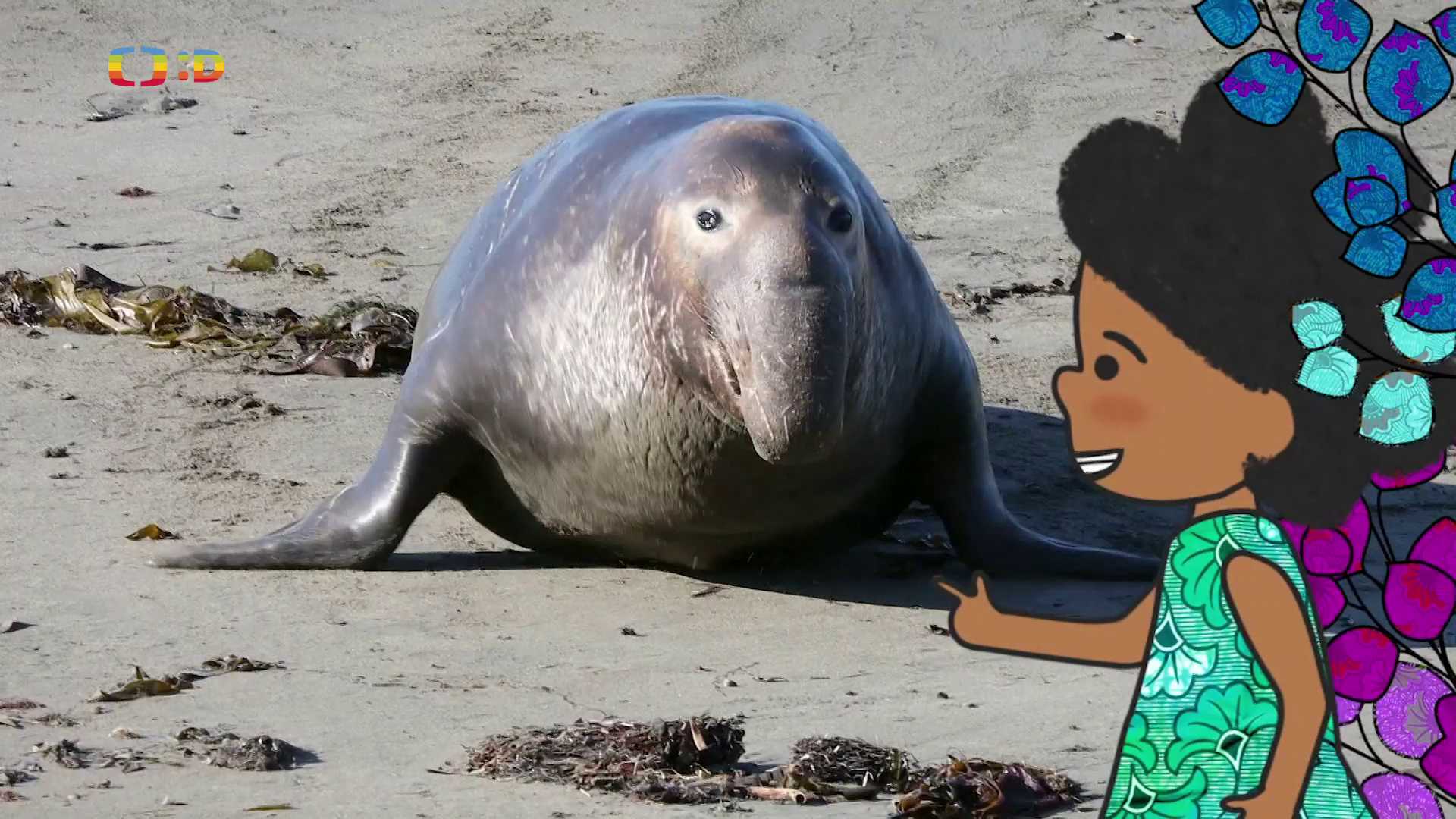 10. 9. 2025