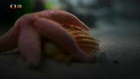 Epizoda 16/40