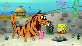 Hurá, máme ZOO! / Krab v karanténě