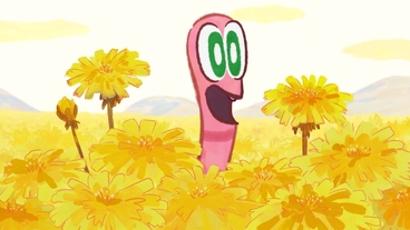 Pampelišková polévka