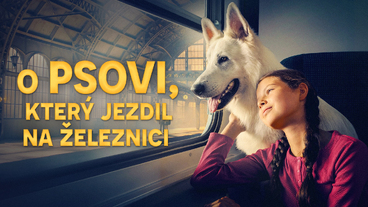 O psovi, který jezdil na železnici