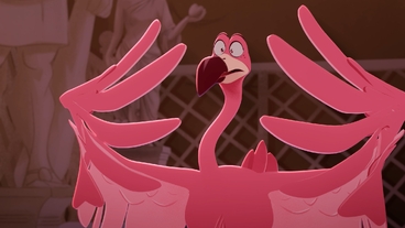 Popletený plameňák