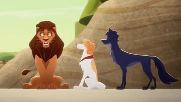 Tajemství dokonalé hřívy