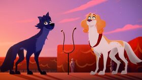 Tajemství dokonalé hřívy