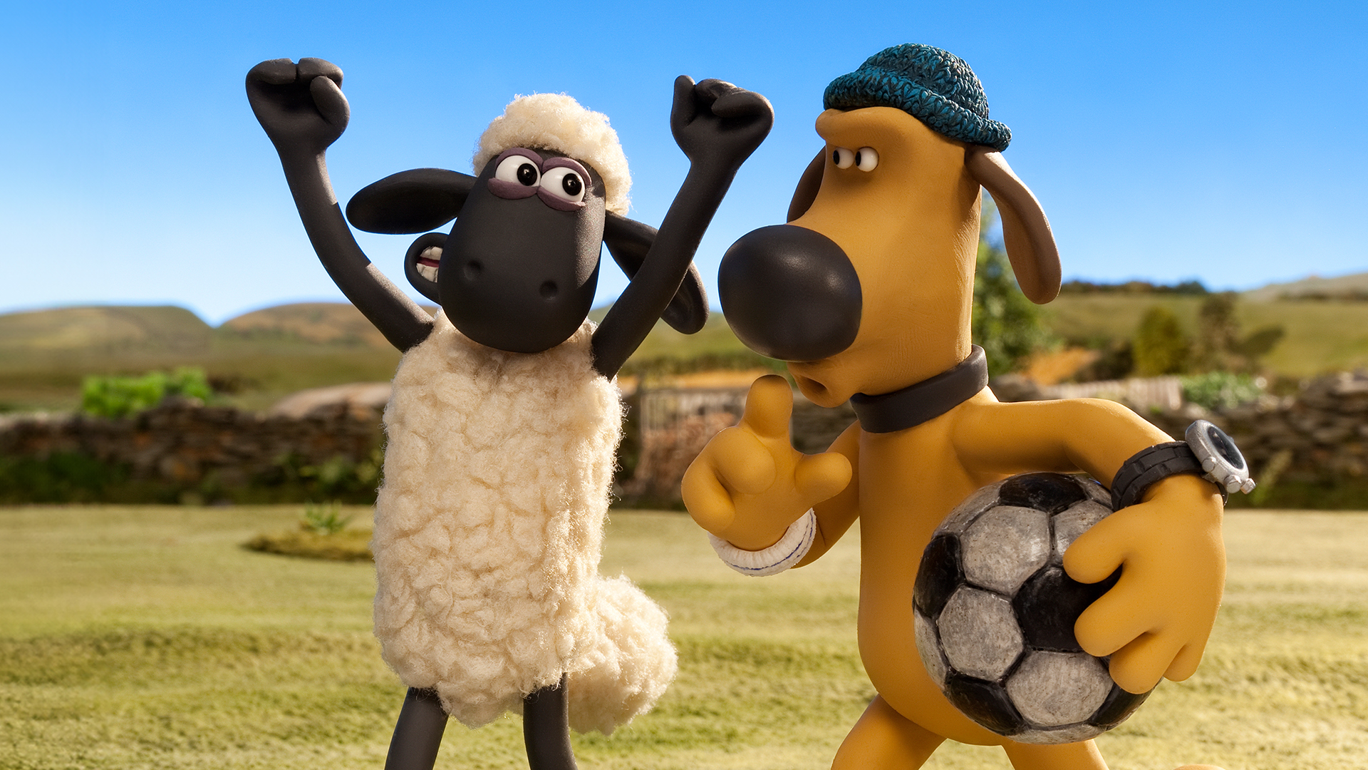 1/20 Vypečené ovce