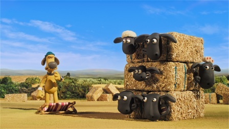 8/20 Slisované stádo