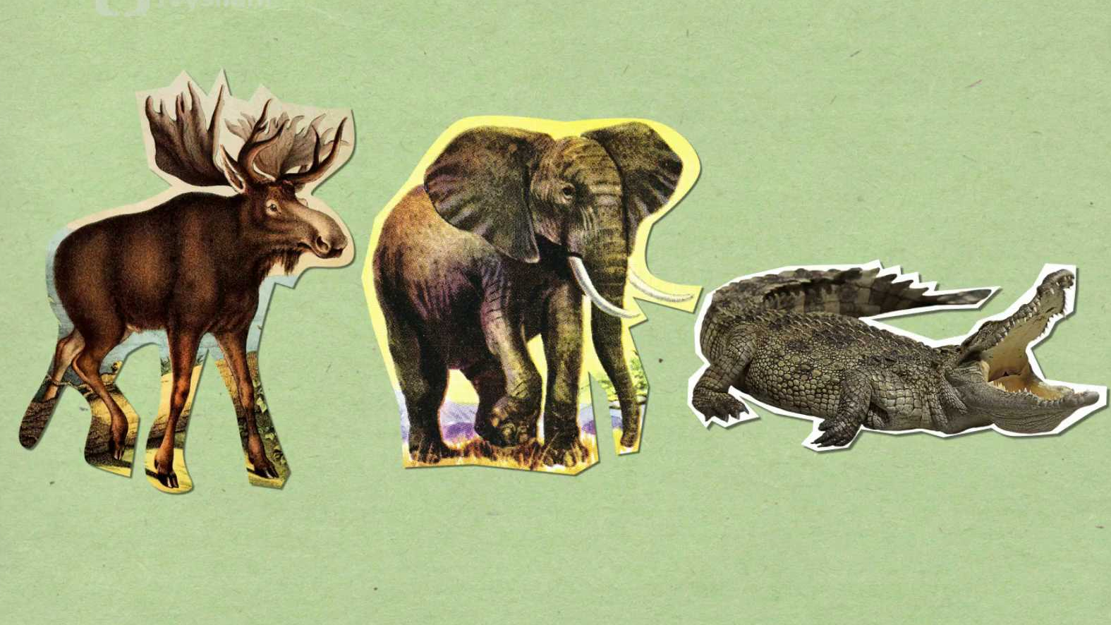 Proč pláčeme, když jsme smutní nebo zranění?