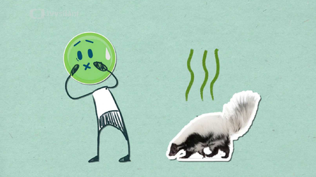 Proč skunk tak děsně páchne?