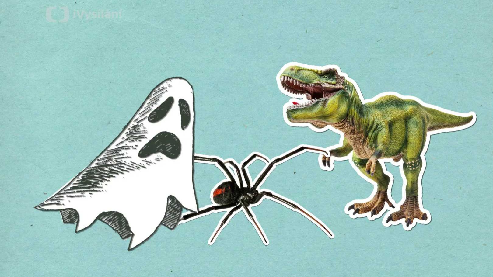 Co vyvolává noční můry?