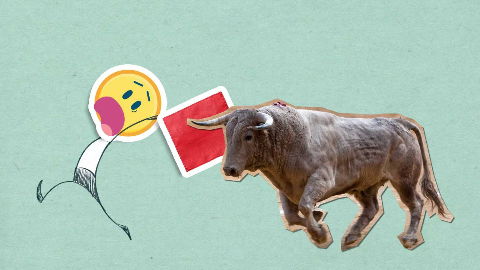 Je pravda, že se býci při pohledu na rudou barvu rozběsní?