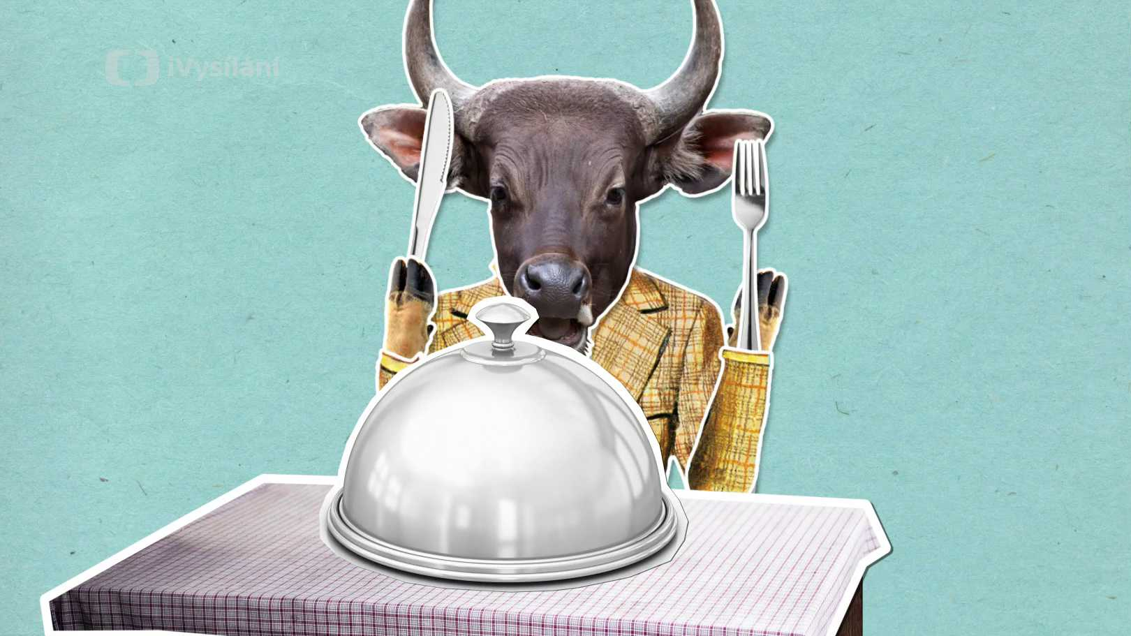 Proč mají kaktusy ostny?