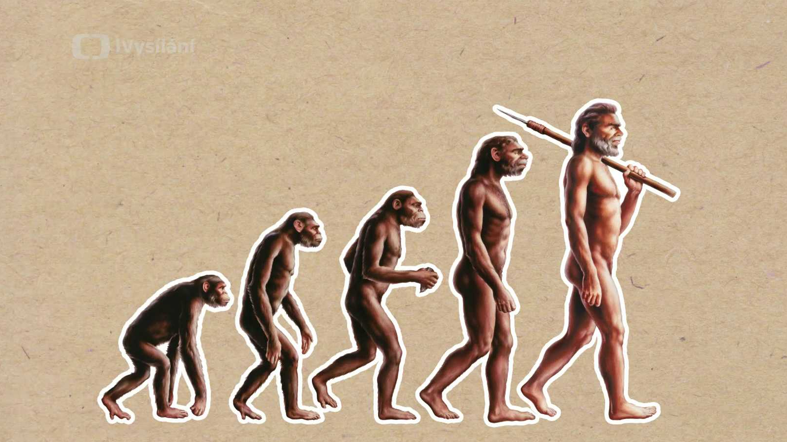 Jsou lidé vážně potomci opic?