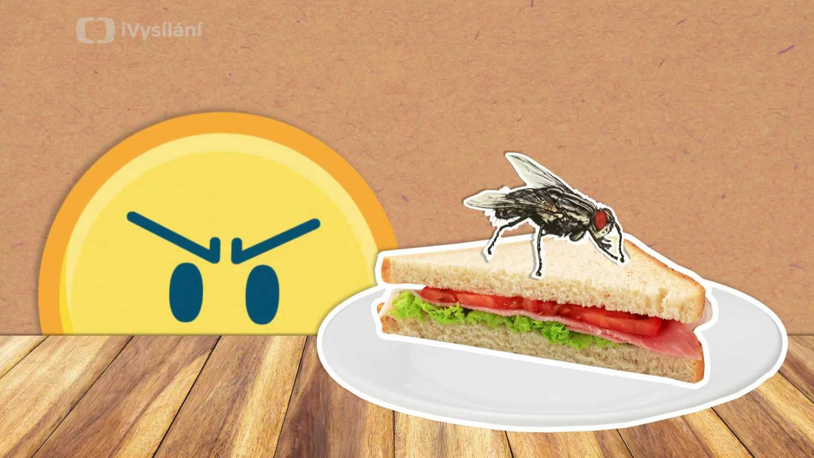 Proč si mouchy třou nohy?