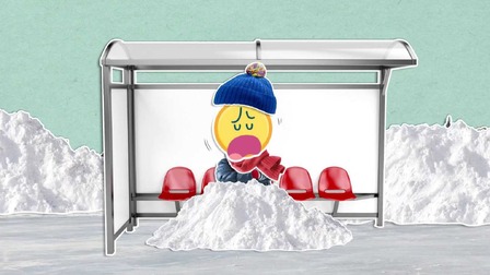 Je pravda, že medvědi celou zimu prospí?