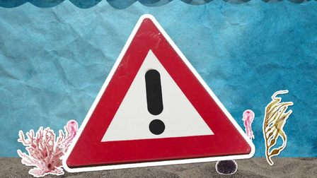 Proč medúzy žahají, když se jich dotkneme?