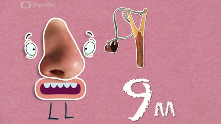 Proč vlastně kýcháme?