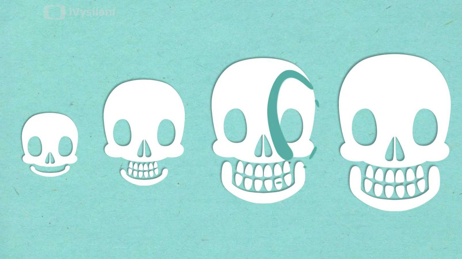 Proč nám vypadávají mléčné zuby?