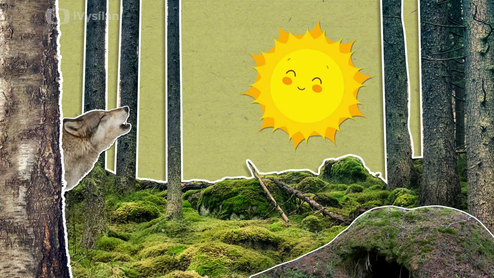 Proč vlci vyjí na měsíc?