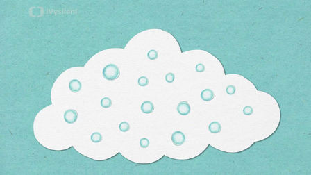 Každá sněhová vločka má jedinečný tvar!