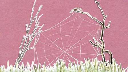 Jak pavouci tkají pavučiny?