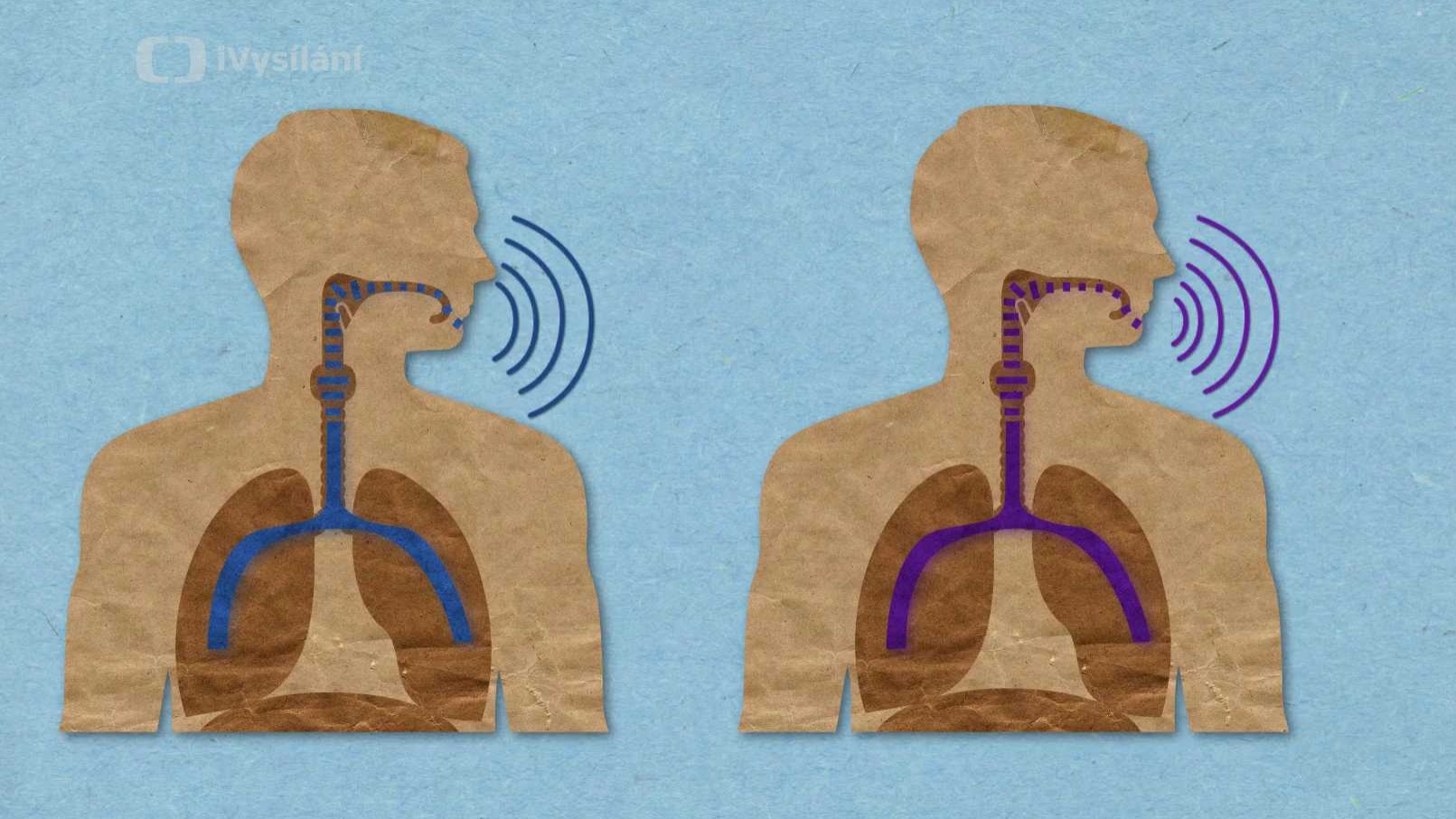 Proč máme po vdechnutí hélia tak vysoký hlas?