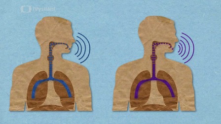 Proč máme po vdechnutí hélia tak vysoký hlas?