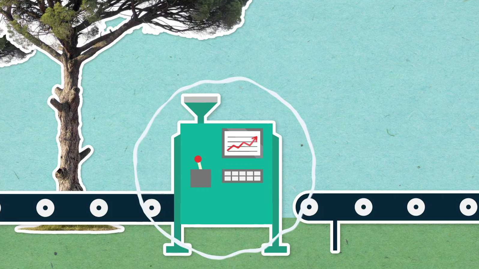 Jak se ze stromů vyrábí papír?