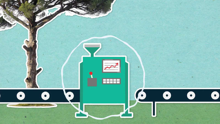 Jak se ze stromů vyrábí papír?