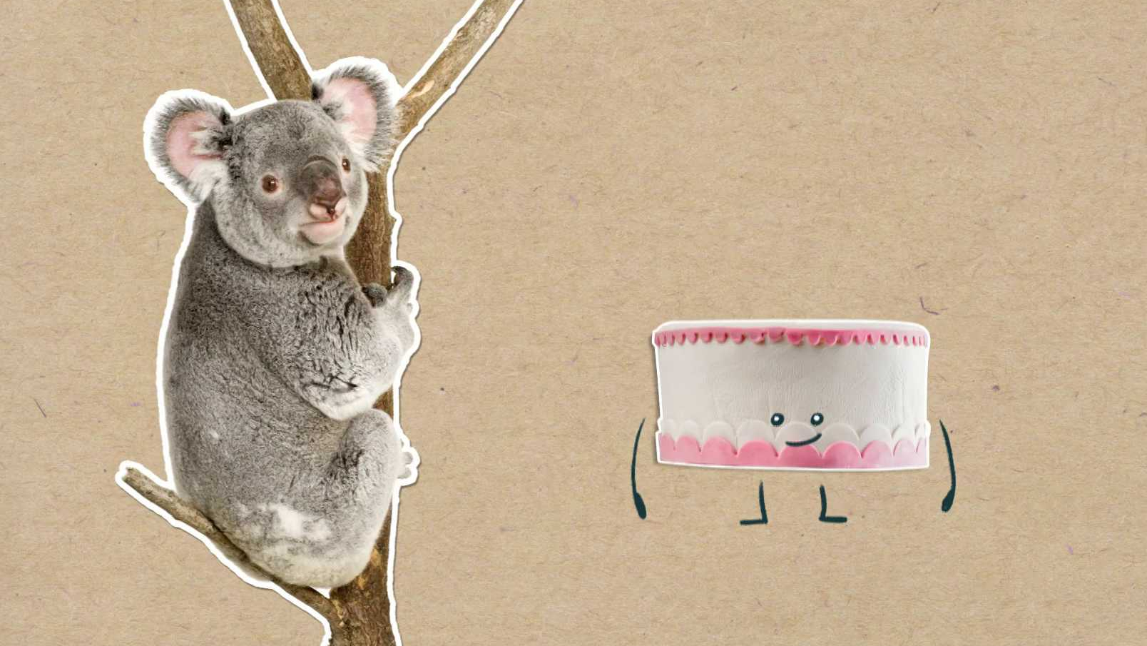 Proč koalové v jednom kuse spí?