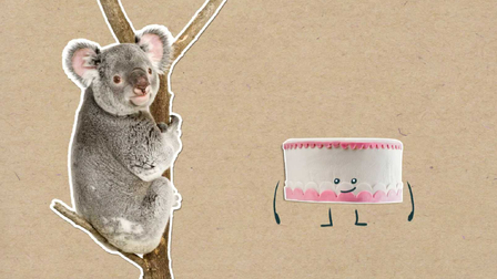 Proč koalové v jednom kuse spí?