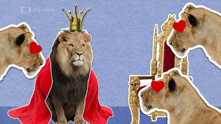 Proč se říká, že je lev králem zvířat?